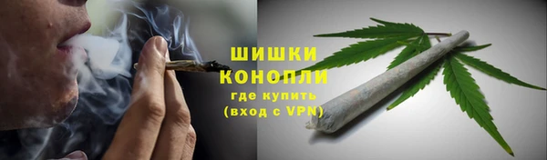 гидра Кондопога