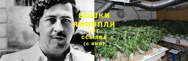 гашиш Бородино