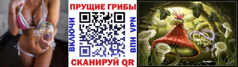 Псилоцибиновые грибы GOLDEN TEACHER  закладки  Астрахань 